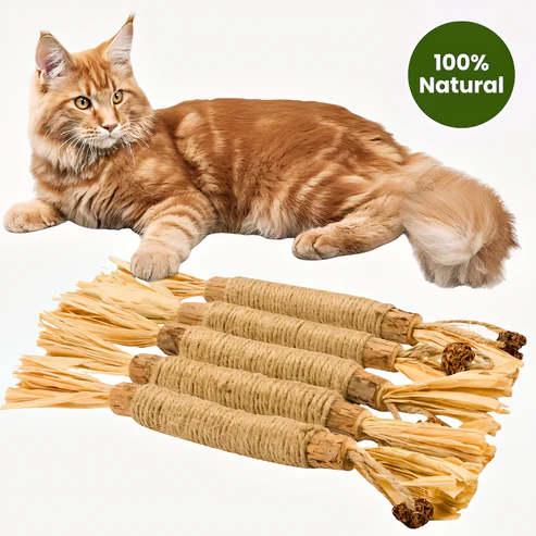 Silvervine Dental Sticks (5-pack)