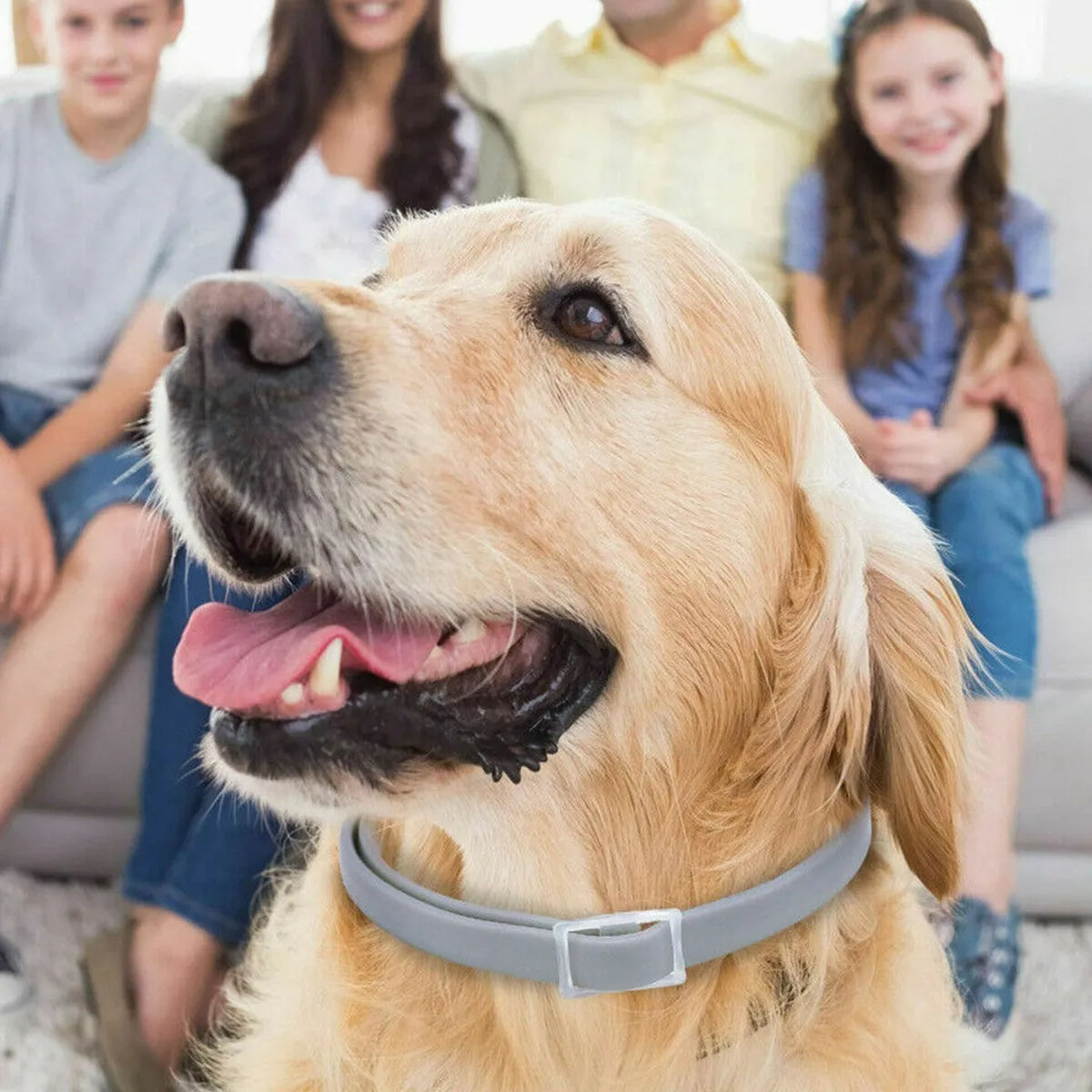 Flea & Tick Repellent Collar