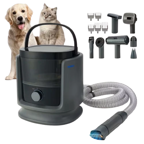 Find Your Pet's Perfect Match